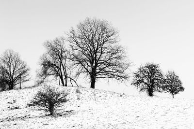 Bare trees on snow covered field against sky