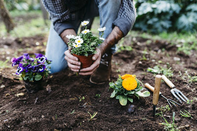 Man planting flowers in his garden