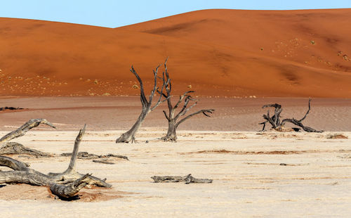 Driftwood on sand dune in desert against sky