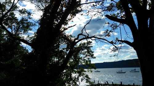 Silhouette trees by lake against sky