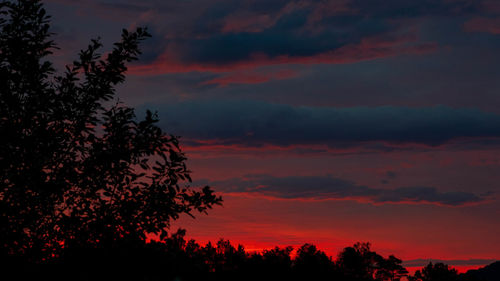 Low angle view of silhouette trees against dramatic sky