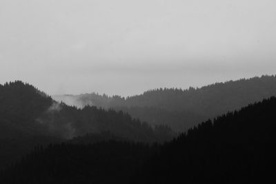 Trees in forest against sky