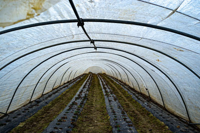 View of empty tunnel