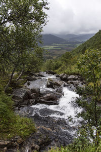 Stream flowing through rocks in forest