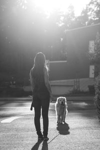 Rear view of woman with dog walking on street