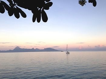 Boats in sea at sunset