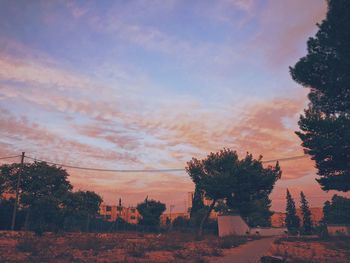 Trees against sky during sunset