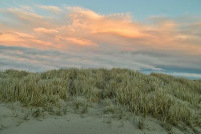 Scenic view of landscape against cloudy sky