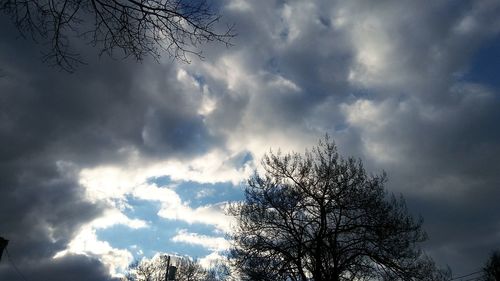 Low angle view of tree against cloudy sky