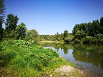 Scenic view of lake against clear blue sky