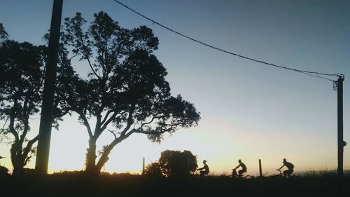 Silhouette trees on field against sky during sunset