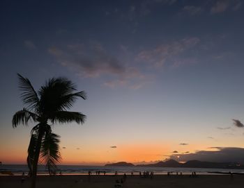 Silhouette palm trees on beach against sky during sunset