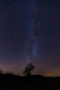 Silhouette trees against star field at night
