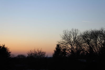 Silhouette trees against clear sky during sunset