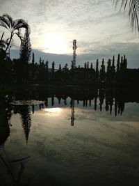 Silhouette of trees in lake during sunset