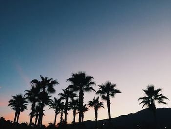 Low angle view of silhouette palm trees against clear sky