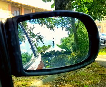 Reflection of trees in side-view mirror