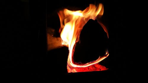 Close-up of bonfire at night