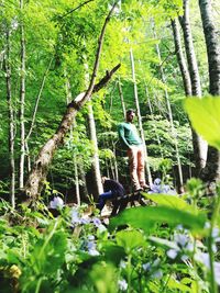 Man amidst plants in forest
