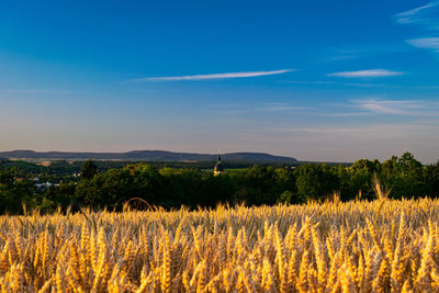 Scenic view of field against blue sky