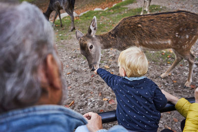 People feeding deer