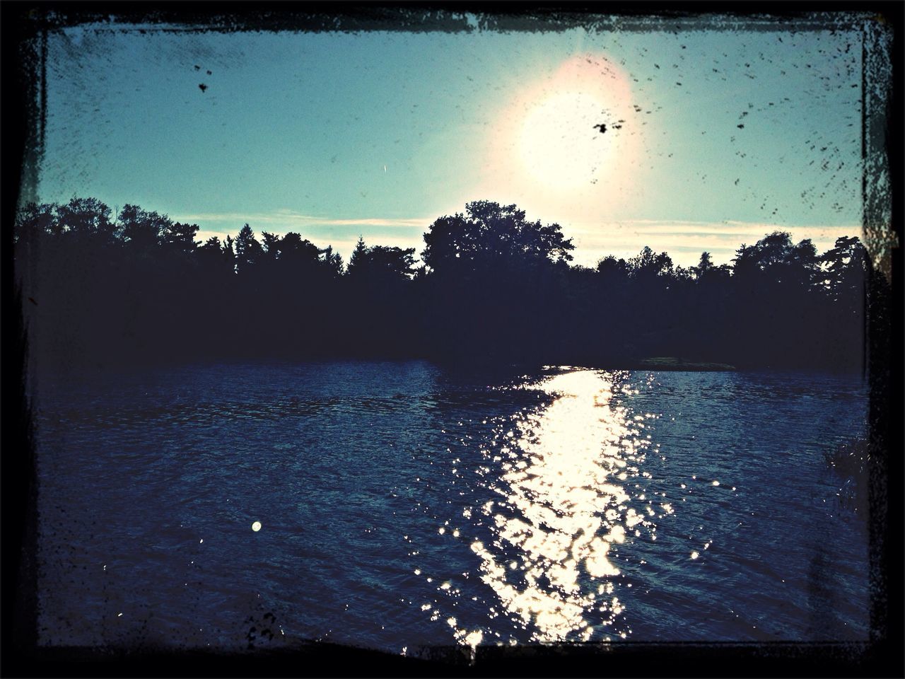 water, transfer print, bird, auto post production filter, sky, tranquil scene, tree, tranquility, scenics, silhouette, flying, animal themes, wildlife, lake, nature, reflection, beauty in nature, waterfront, animals in the wild, sunset