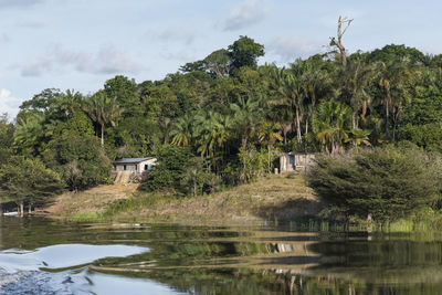 View to riverside village in the amazon rainforest