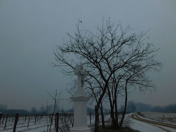 Bare trees on field