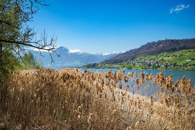 Scenic view of lake against blue sky