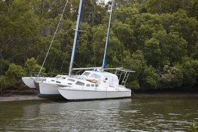 Boat sailing on river by trees