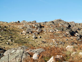 Low angle view of rocks against clear blue sky