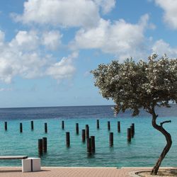 Wooden posts in sea against sky