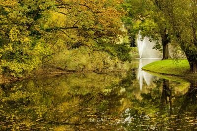 Scenic view of waterfall in forest during autumn