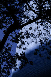 Low angle view of trees against sky