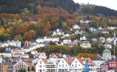 Trees and houses in town during autumn