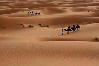 View of desert at sunset