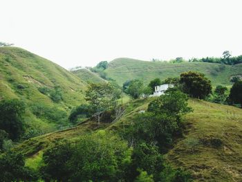 Scenic view of landscape