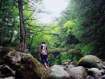 Rear view of man standing amidst rocks in forest