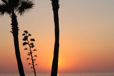 Trees by sea against sky during sunset