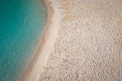 Scenic view of beach