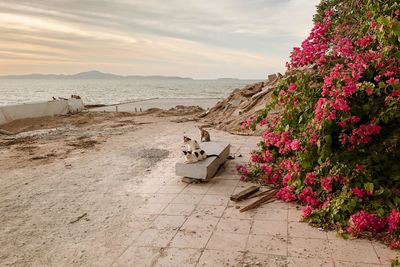 Scenic view of beach by sea against sky