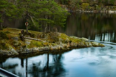 Scenic view of lake by trees