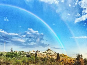 Rainbow over trees against sky