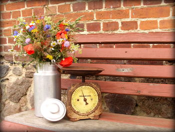 Potted plant on wall