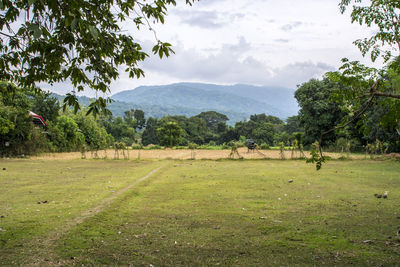 Scenic view of field against sky