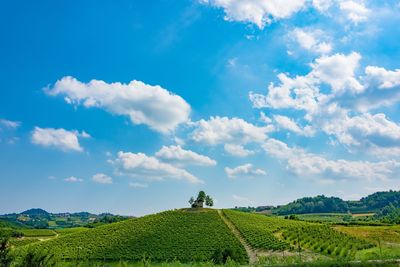 Scenic view of field against cloudy sky