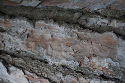 Full frame shot of rock