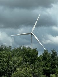 environmental conservation