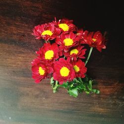 Close-up of flowers