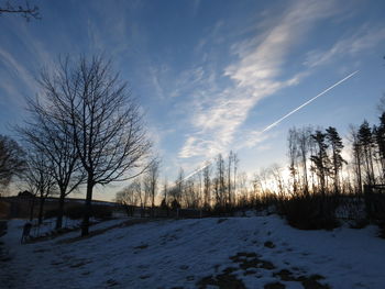 Bare trees on snow covered landscape against sky